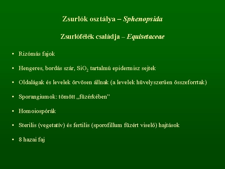 Zsurlók osztálya – Sphenopsida Zsurlófélék családja – Equisetaceae • Rizómás fajok • Hengeres, bordás