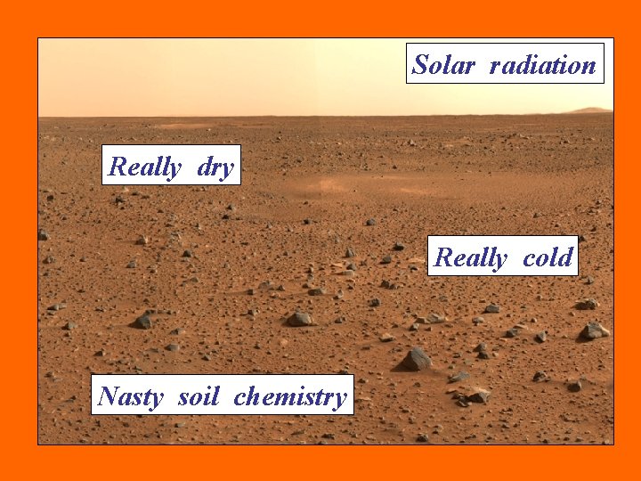 Solar radiation Really dry Really cold Nasty soil chemistry 