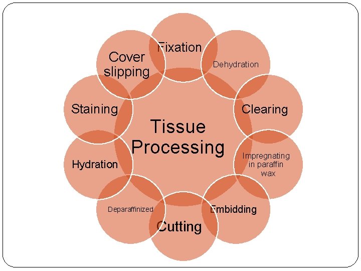 Cover slipping Staining Fixation Dehydration Tissue Processing Hydration Clearing Impregnating in paraffin wax Embidding