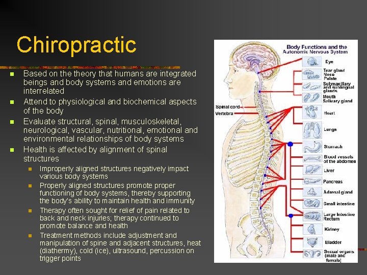 Chiropractic n n Based on theory that humans are integrated beings and body systems