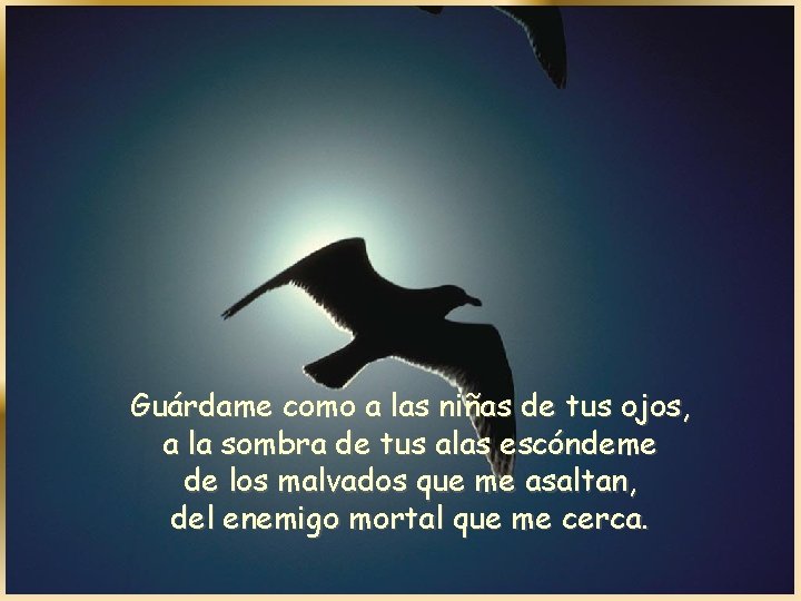 Guárdame como a las niñas de tus ojos, a la sombra de tus alas