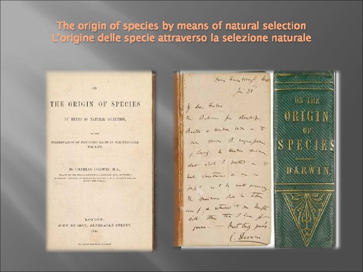 The origin of species by means of natural selection L’origine delle specie attraverso la