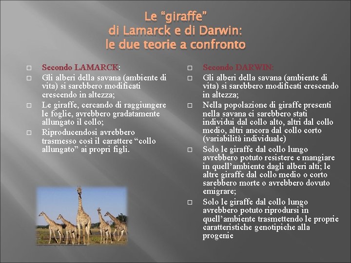 Le “giraffe” di Lamarck e di Darwin: le due teorie a confronto Secondo LAMARCK: