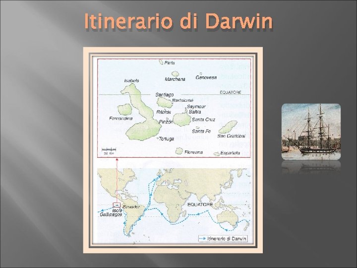 Itinerario di Darwin 