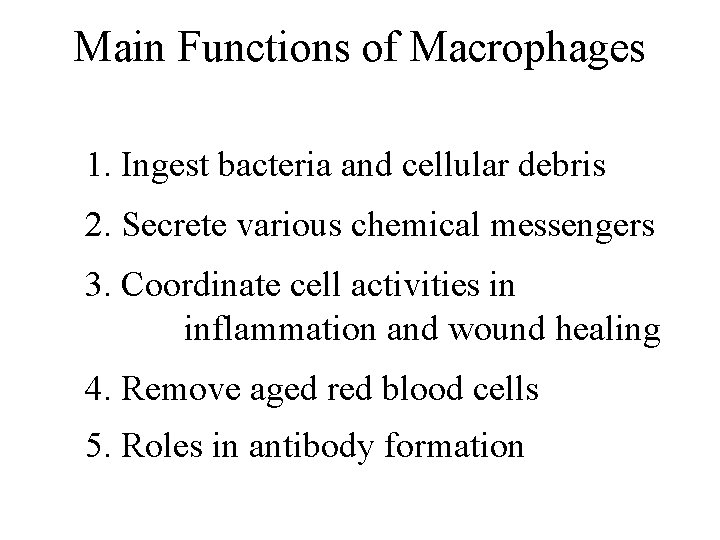 Main Functions of Macrophages 1. Ingest bacteria and cellular debris 2. Secrete various chemical Main Functions of Macrophages 1. Ingest bacteria and cellular debris 2. Secrete various chemical