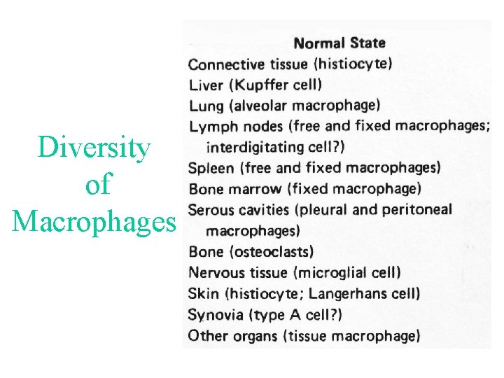 Diversity of Macrophages Diversity of Macrophages