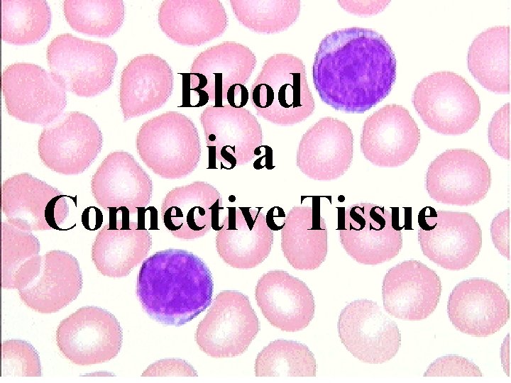 Blood is a Connective Tissue Blood is a Connective Tissue