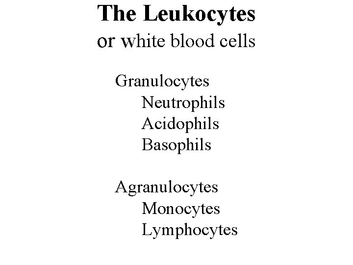 The Leukocytes or white blood cells Granulocytes Neutrophils Acidophils Basophils Agranulocytes Monocytes Lymphocytes The Leukocytes or white blood cells Granulocytes Neutrophils Acidophils Basophils Agranulocytes Monocytes Lymphocytes