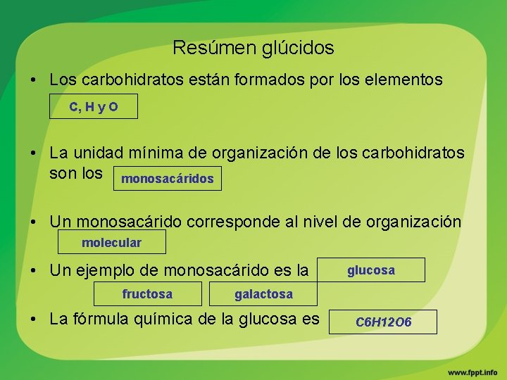 Resúmen glúcidos • Los carbohidratos están formados por los elementos C, H y O