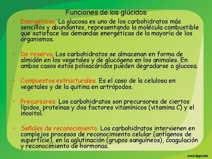 Funciones de los glúcidos • Energéticas. La glucosa es uno de los carbohidratos más