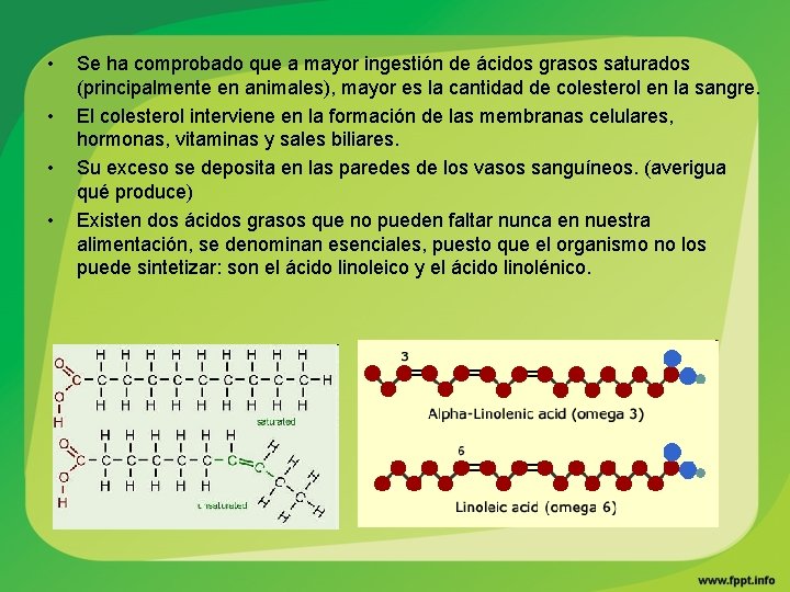  • • Se ha comprobado que a mayor ingestión de ácidos grasos saturados