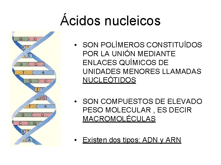 Ácidos nucleicos • SON POLÍMEROS CONSTITUÍDOS POR LA UNIÓN MEDIANTE ENLACES QUÍMICOS DE UNIDADES