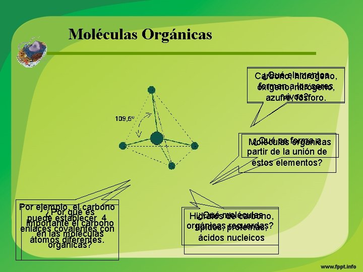 Moléculas Orgánicas ¿Qué elementos Carbono, hidrógeno, forman anitrógeno, los seres oxígeno, vivos? azufre, fósforo.