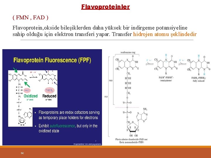 Flavoproteinler ( FMN , FAD ) Flavoprotein, okside bileşiklerden daha yüksek bir indirgeme potansiyeline