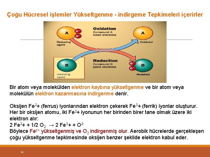 Çoğu Hücresel işlemler Yükseltgenme - indirgeme Tepkimeleri içerirler Bir atom veya molekülden elektron kaybına