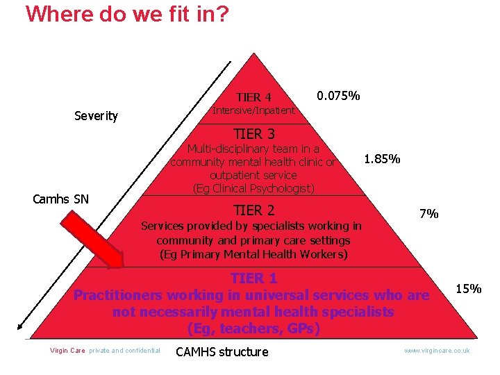 Where do we fit in? TIER 4 0. 075% Intensive/Inpatient Severity TIER 3 Multi-disciplinary