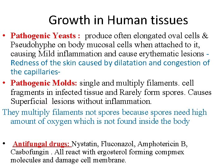 Growth in Human tissues • Pathogenic Yeasts : produce often elongated oval cells & Growth in Human tissues • Pathogenic Yeasts : produce often elongated oval cells &