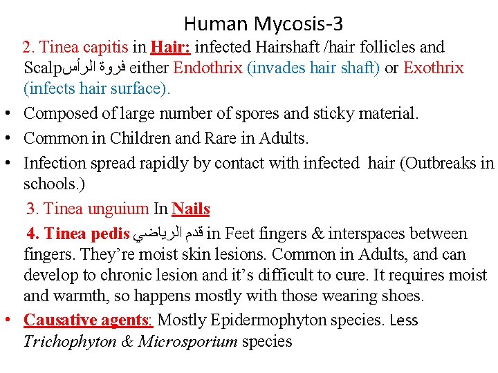 Human Mycosis-3 2. Tinea capitis in Hair: infected Hairshaft /hair follicles and Scalp ﺍﻟﺮﺃﺲ Human Mycosis-3 2. Tinea capitis in Hair: infected Hairshaft /hair follicles and Scalp ﺍﻟﺮﺃﺲ