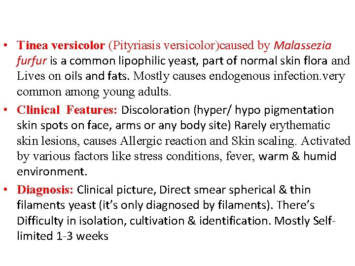 • Tinea versicolor (Pityriasis versicolor)caused by Malassezia furfur is a common lipophilic yeast, • Tinea versicolor (Pityriasis versicolor)caused by Malassezia furfur is a common lipophilic yeast,