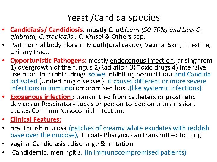Yeast /Candida species • Candidiasis/ Candidiosis: mostly C. albicans (50 -70%) and Less Yeast /Candida species • Candidiasis/ Candidiosis: mostly C. albicans (50 -70%) and Less