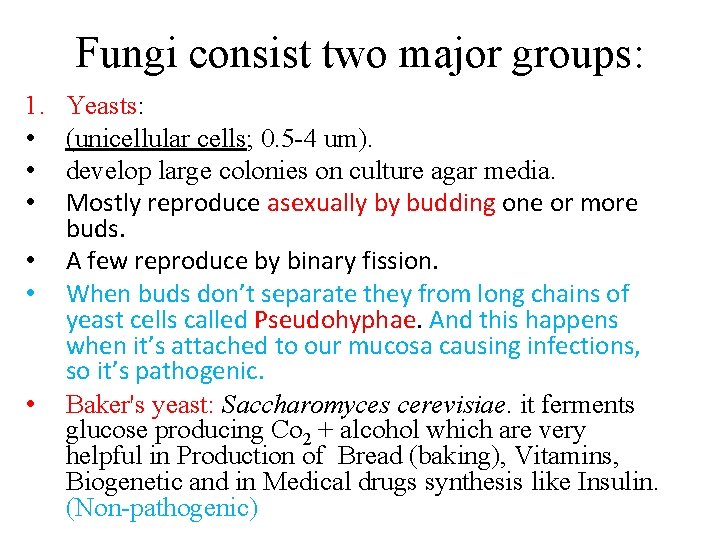 Fungi consist two major groups: 1. • • • Yeasts: (unicellular cells; 0. 5 Fungi consist two major groups: 1. • • • Yeasts: (unicellular cells; 0. 5