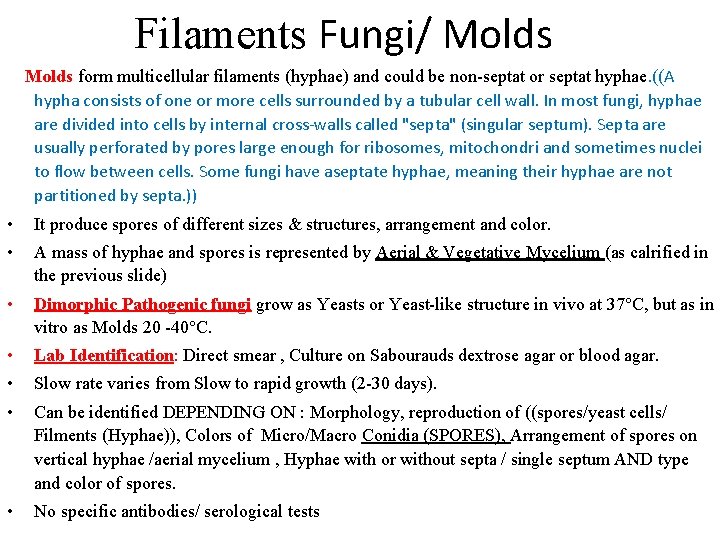 Filaments Fungi/ Molds form multicellular filaments (hyphae) and could be non-septat or septat Filaments Fungi/ Molds form multicellular filaments (hyphae) and could be non-septat or septat