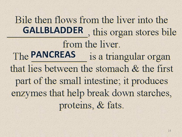 Bile then flows from the liver into the GALLBLADDER this organ stores bile ________,