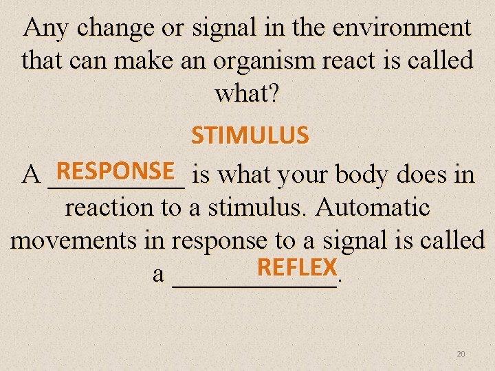 Any change or signal in the environment that can make an organism react is