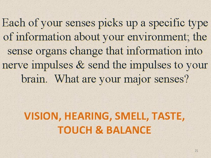 Each of your senses picks up a specific type of information about your environment;