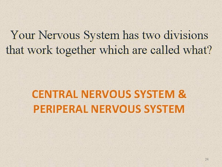Your Nervous System has two divisions that work together which are called what? CENTRAL