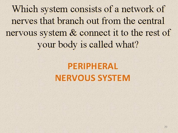 Which system consists of a network of nerves that branch out from the central