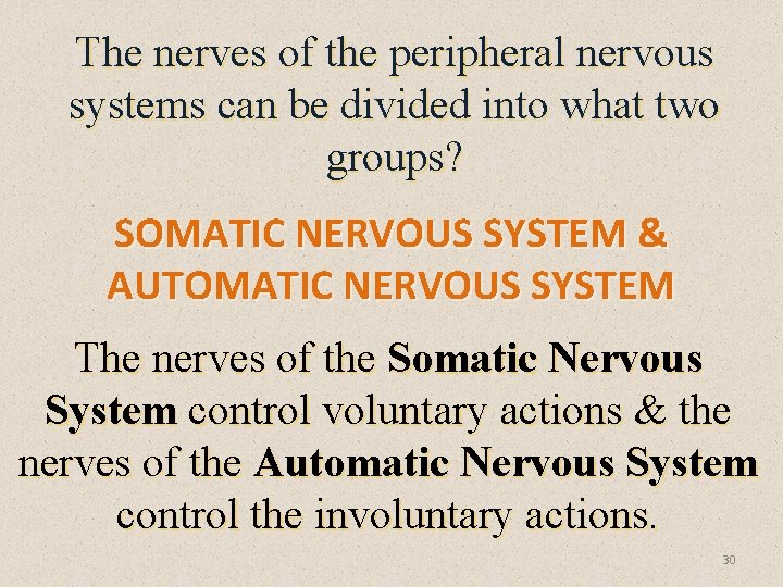 The nerves of the peripheral nervous systems can be divided into what two groups?