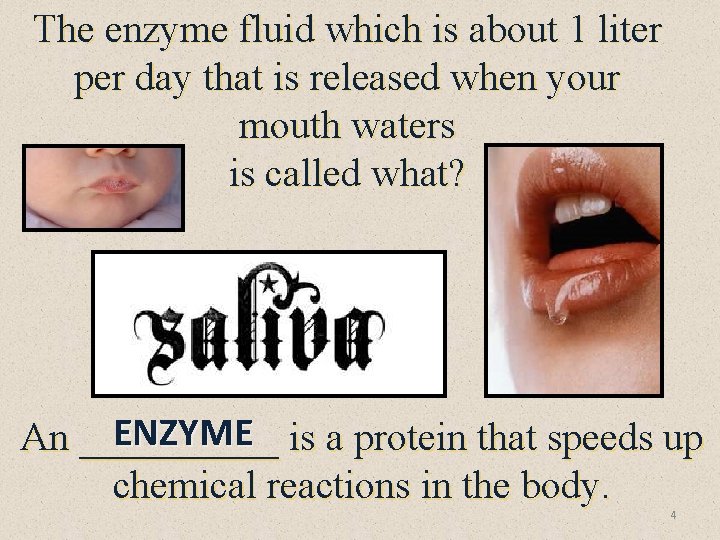 The enzyme fluid which is about 1 liter per day that is released when