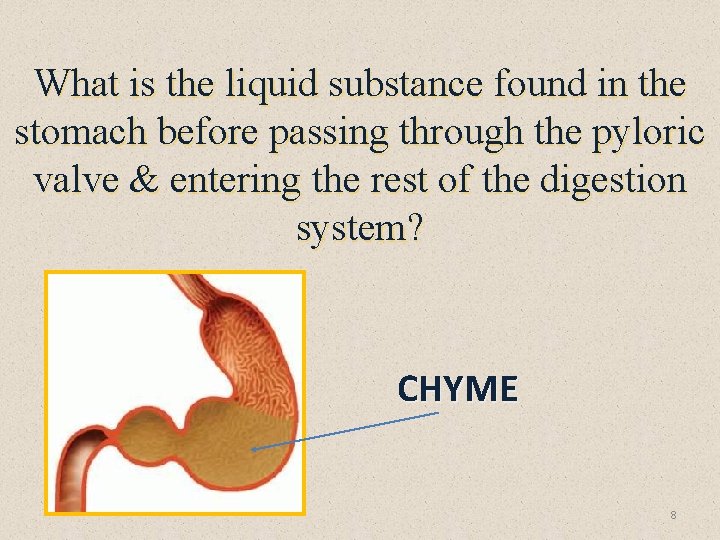 What is the liquid substance found in the stomach before passing through the pyloric