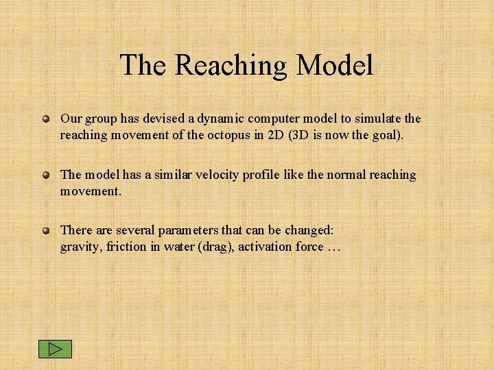 The Reaching Model Our group has devised a dynamic computer model to simulate the