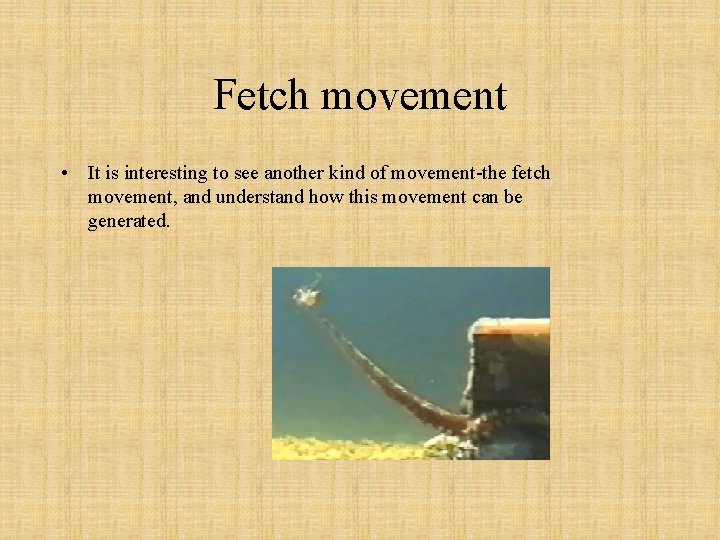 Fetch movement • It is interesting to see another kind of movement-the fetch movement,