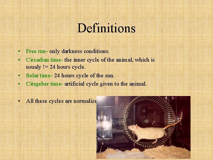 Definitions • Free run- only darkness conditions. • Circadian time- the inner cycle of