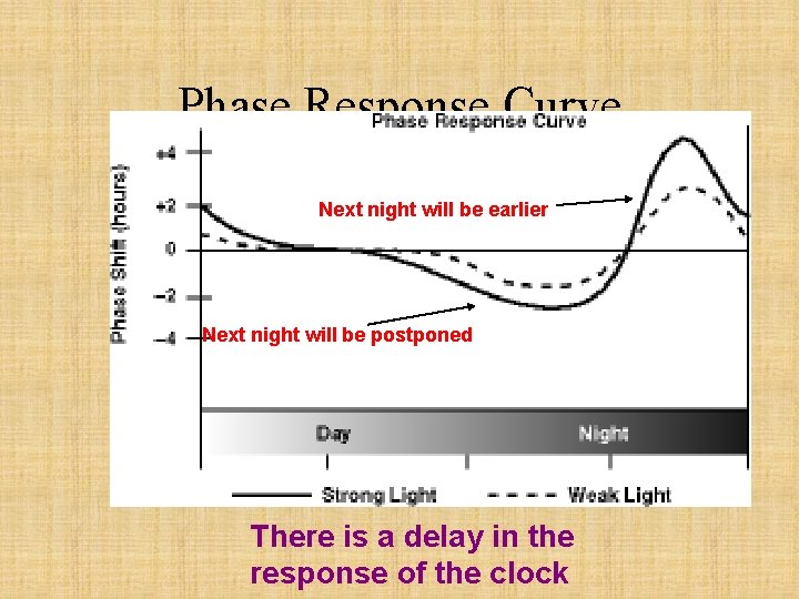 Phase Response Curve Next night will be earlier Next night will be postponed There