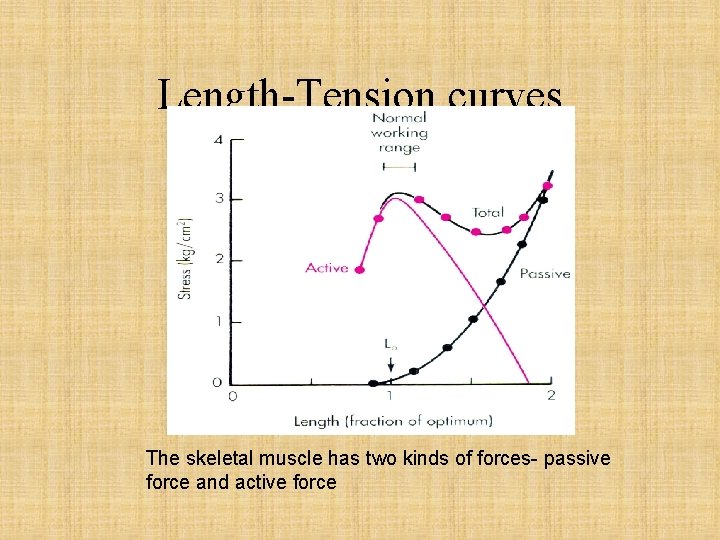 Length-Tension curves The skeletal muscle has two kinds of forces- passive force and active