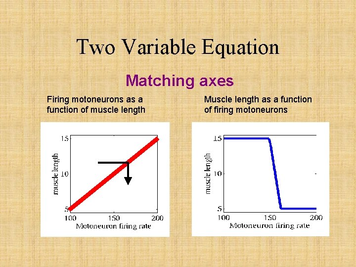 Two Variable Equation Matching axes Firing motoneurons as a function of muscle length Muscle