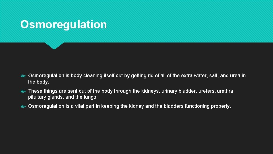 Osmoregulation is body cleaning itself out by getting rid of all of the extra