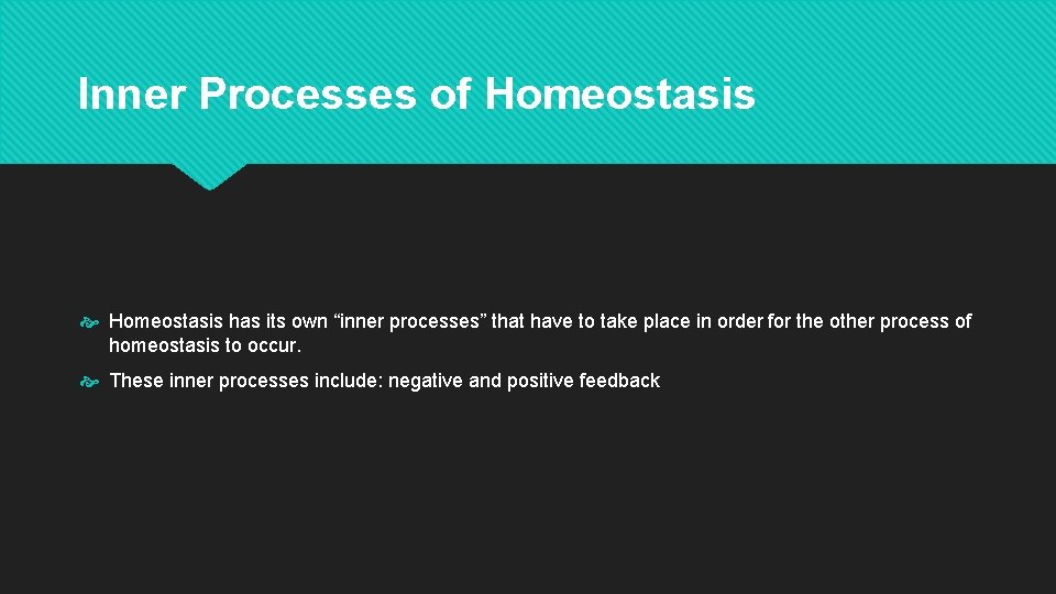 Inner Processes of Homeostasis has its own “inner processes” that have to take place