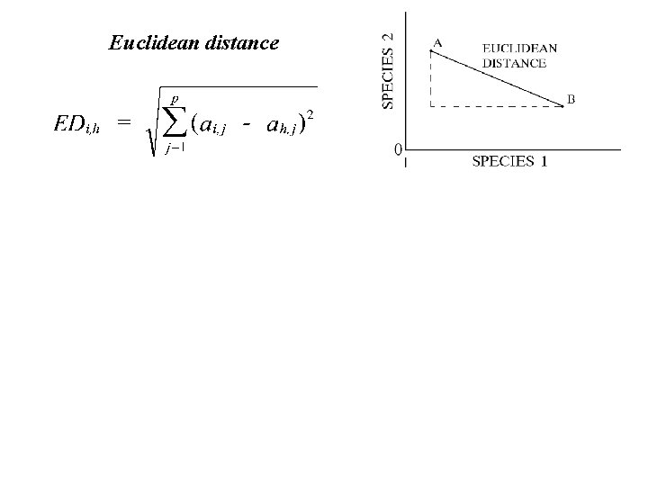 Euclidean distance City-block distance (= Manhattan distance) Figure 6. 2. Geometric representations of basic