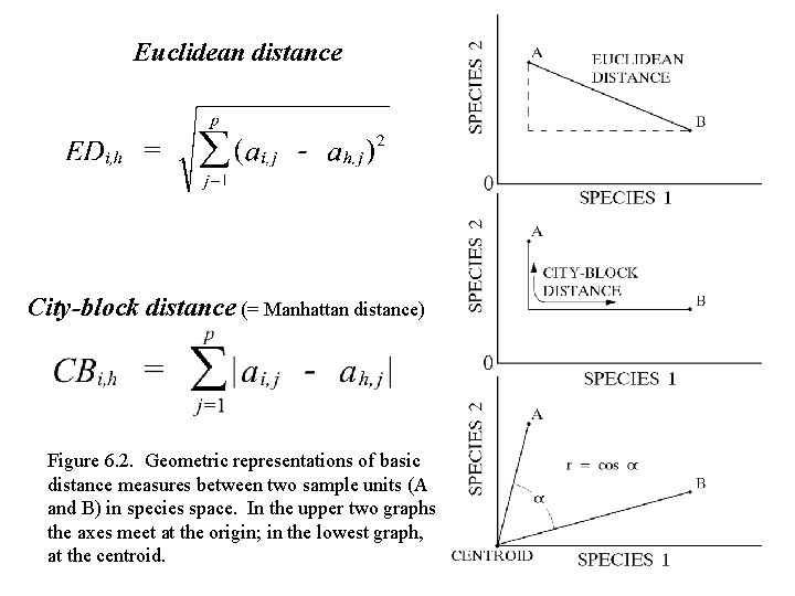 Euclidean distance City-block distance (= Manhattan distance) Figure 6. 2. Geometric representations of basic