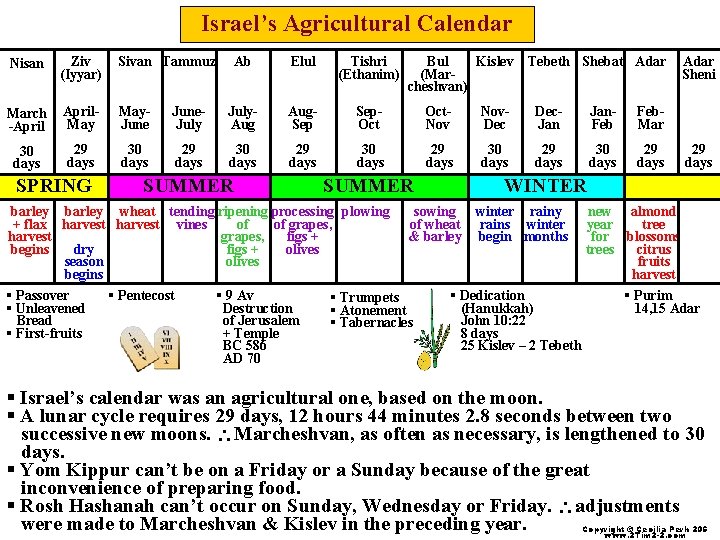 Israel’s Agricultural Calendar Nisan Ziv (Iyyar) Sivan Tammuz March -April. May. June 30 days