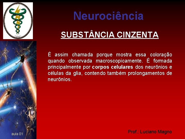 Neurociência SUBST NCIA CINZENTA É assim chamada porque mostra essa coloração quando observada macroscopicamente.