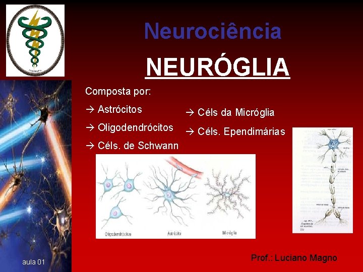 Neurociência NEURÓGLIA Composta por: Astrócitos Céls da Micróglia Oligodendrócitos Céls. Ependimárias Céls. de Schwann