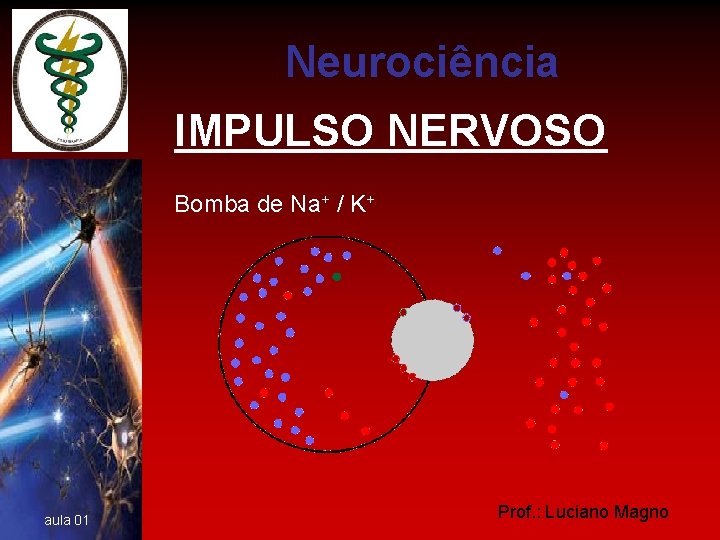 Neurociência IMPULSO NERVOSO Bomba de Na+ / K+ aula 01 Prof. : Luciano Magno