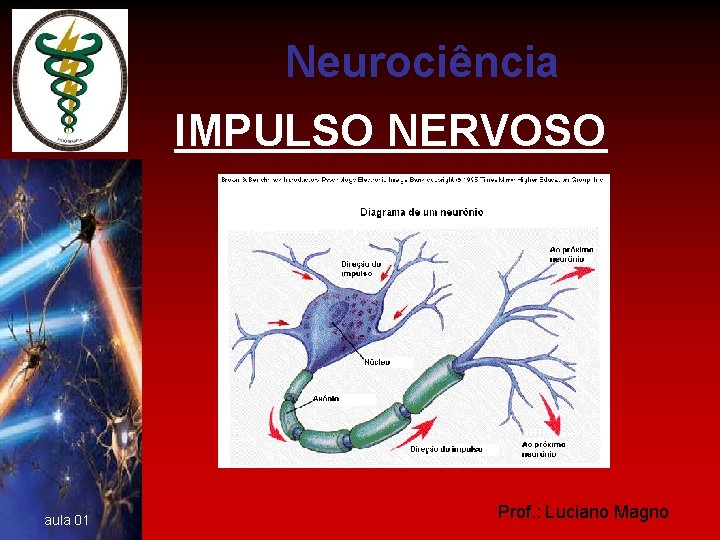 Neurociência IMPULSO NERVOSO aula 01 Prof. : Luciano Magno 