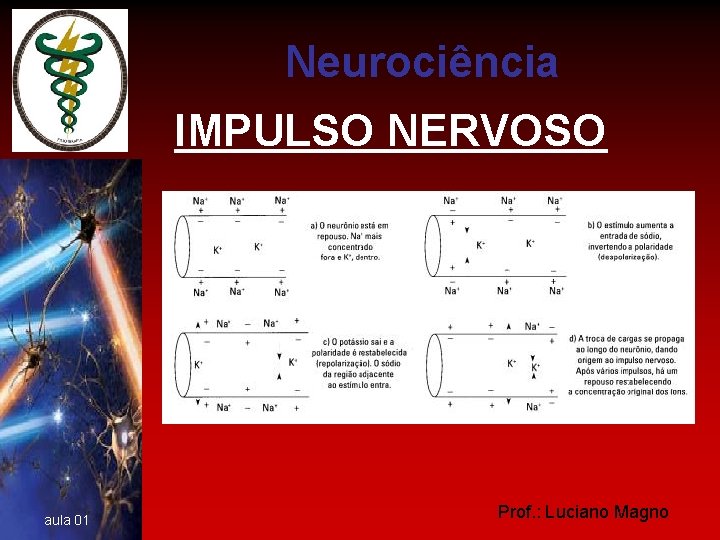 Neurociência IMPULSO NERVOSO aula 01 Prof. : Luciano Magno 